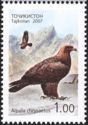 Golden Eagle (Aquila chrysaetos)
